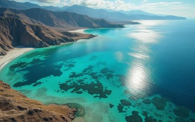 découvrir l’histoire et l’importance des mers intérieures du Crétacé